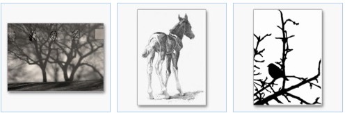 winter reflections ATC card, foal in charcoal, silhouette of bird on a branch business card and ACEO cards